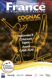 Championnat de France de gymnastique 2013 à Cognac
